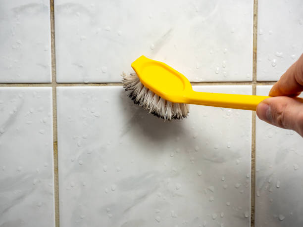 Jackson, MO Mold Removal Company