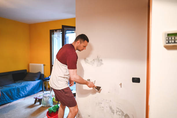 Best Office Mold Removal Services  in Jackson, MO